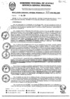 Vista preliminar de documento RGGR0325-2024
