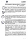 Vista preliminar de documento RGGR384