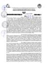 Vista preliminar de documento R.D 1295-2024