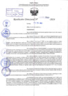 Vista preliminar de documento R.D 1300-2024