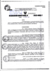 Vista preliminar de documento R.D 02010-2023