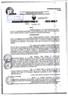 Vista preliminar de documento R.D 02009-2023