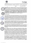 Vista preliminar de documento RGGR394