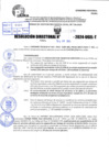 Vista preliminar de documento R.D 1325-2024