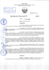Vista preliminar de documento R.D 01993-2023
