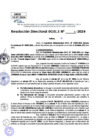 Vista preliminar de documento Resolucion Directoral N° 004339-2024