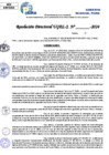 Vista preliminar de documento Resolucion Directoral N° 004340-2024