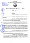 Vista preliminar de documento R.D 1336-2024