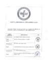 Vista preliminar de documento ANEXO RD N° 176 2024 DG HEJCU
