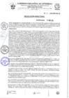 Vista preliminar de documento Resolucion directoral Nro 181 - 2024-HSR-AND-DE