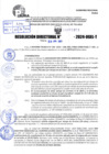 Vista preliminar de documento R.D 1341-2024