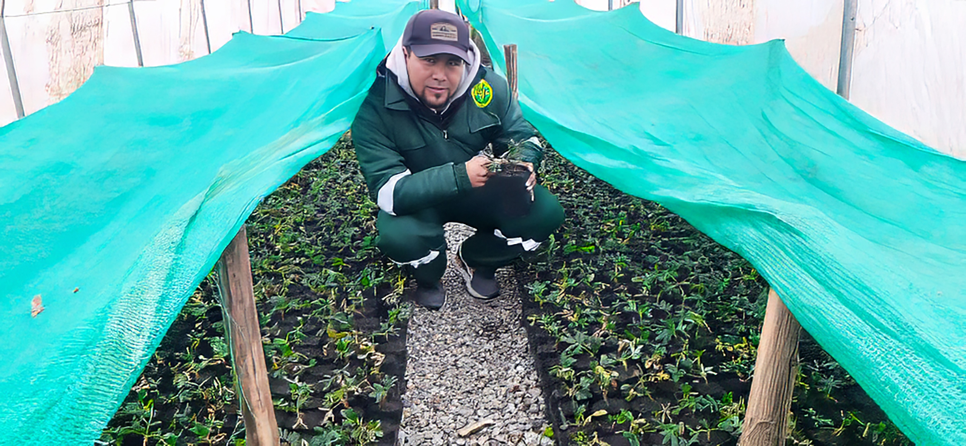 GORE Ayacucho produce 220 mil plantones forestales en Fajardo