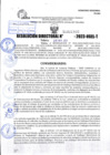 Vista preliminar de documento R.D 01980-2023