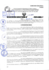Vista preliminar de documento R.D 1355-2024