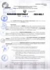Vista preliminar de documento R.D 01977-2023