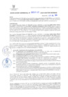 Vista preliminar de documento RG. 000649-2024-GSATDE