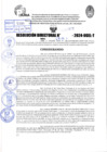 Vista preliminar de documento R.D 1377-2024