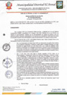 Vista preliminar de documento 132