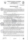 Vista preliminar de documento Resolucion directoral Nro 335 - 2024-HSR-AND-DE