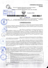 Vista preliminar de documento R.D 1966-2023