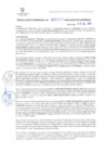 Vista preliminar de documento RG. 000651-2024-GSATDE