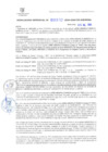 Vista preliminar de documento RG. 000652-2024-GSATDE