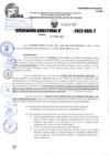 Vista preliminar de documento R.D 1955-2023