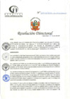 Vista preliminar de documento RD N°228-07-2024-DE-HCLLH-MINSA