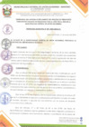 Vista preliminar de documento Ordenanza Municipal N° 001-2024-MDUA/C
