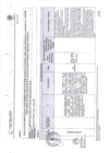 Vista preliminar de documento Recomendaciones Simultáneo