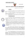 Vista preliminar de documento RG. N° 260-2024-GRSM-PEAM-GG