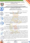 Vista preliminar de documento Ordenanza Municipal N° 010-2024-MDUA/C