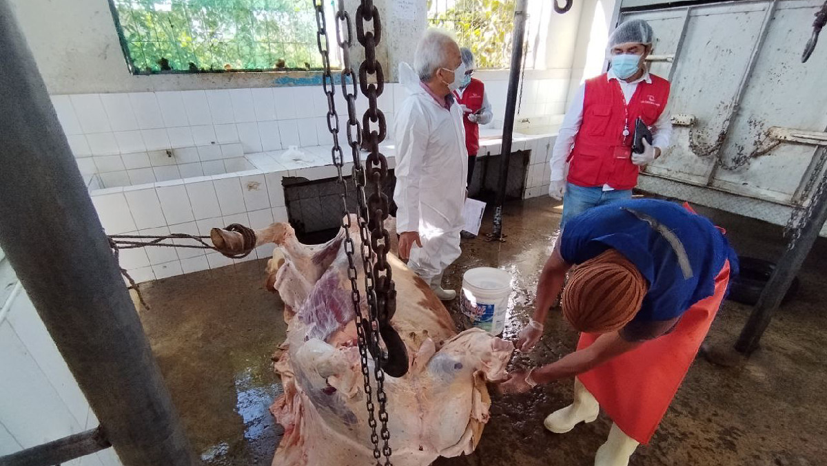 La Contraloría General advirtió que el Centro de Faenamiento (Camal) de la Municipalidad Provincial de Rodríguez de Mendoza no cuenta con autorización sanitaria vigente, lo que afecta la inocuidad y salubridad de los productos cárnicos.