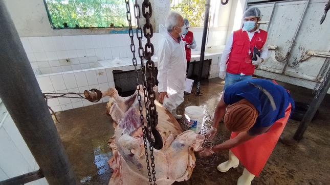 La Contraloría General advirtió que el Centro de Faenamiento (Camal) de la Municipalidad Provincial de Rodríguez de Mendoza no cuenta con autorización sanitaria vigente, lo que afecta la inocuidad y salubridad de los productos cárnicos.