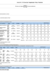 Vista preliminar de documento Anexo B-5 - POI Anual con Programación Física y Financiera actualizado