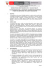Vista preliminar de documento INFORME TECNICO DE ESTANDARIZACION N 002-2024-DP-SSG-OTI
