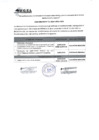 Vista preliminar de documento comunicado