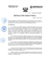 Vista preliminar de documento Resolución Directoral N176-2024-DRSL-RL-HH-SBS