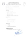 Vista preliminar de documento CONVOCATORIA AGENTES DE SEGURIDAD CIUDADANA