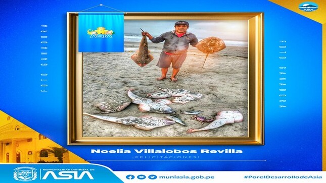 ¡Ya tenemos la foto ganadora!  Con 484 likes, la fotografía de Noelia Villalobos Revilla, fue la más votada por los cibernautas. ¡Muchas felicidades!
#Feliz60AniversarioAsia
#MunicipalidadDistritalDeAsia
#IsaiasAlcantaraAlcaldedeAsia
