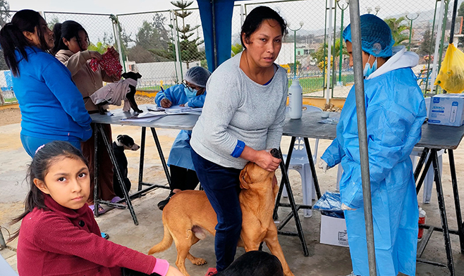 Se realizó con éxito la campaña de salud y bienestar animal en "Señor de los Milagros"