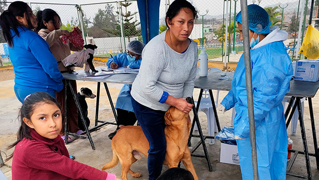 Se realizó con éxito la campaña de salud y bienestar animal en "Señor de los Milagros"