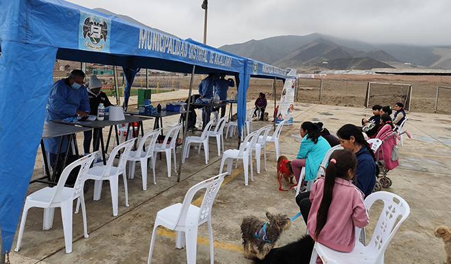 Se realizó con éxito la campaña de salud y bienestar animal en "Señor de los Milagros"