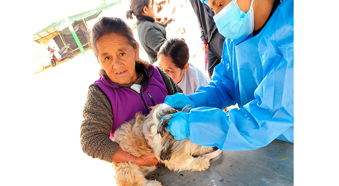 Se realizó con éxito la campaña de salud y bienestar animal en "Señor de los Milagros"