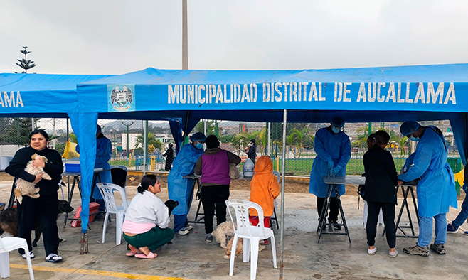 Se realizó con éxito la campaña de salud y bienestar animal en "Señor de los Milagros"