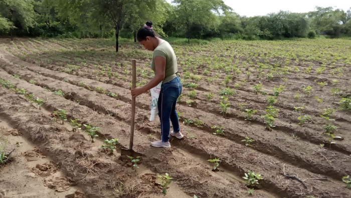 𝑷leno del concejo aprueba convenio que permitirá la irrigación de 202 HA de la margen izquierda
