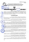 Vista preliminar de documento R.D 1438-2024