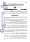Vista preliminar de documento R.D 1439-2024
