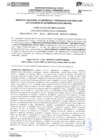 Vista preliminar de documento Registro N° 010-2024-GRTPECUS-SGPEFP-RENEEIL