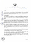 Vista preliminar de documento rd135